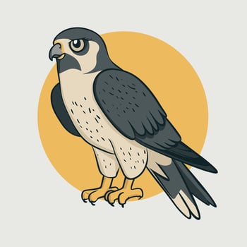 illustration of a falcon. birds isolated on a white background. vector