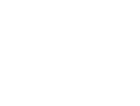 a cute bird png