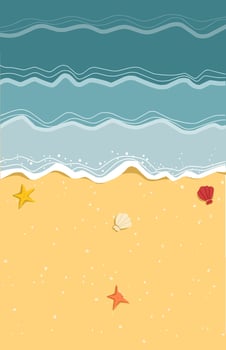 Beach background with sand starfish and shells vector