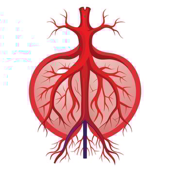 Human Blood Vessels Art Anatomy for Medical Education vector