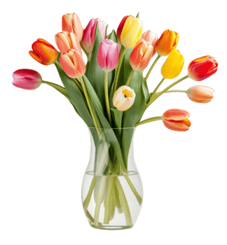 tulips in vase isolated on transparent background png