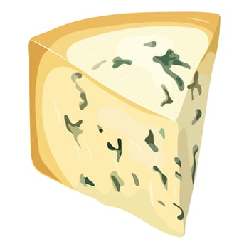 A piece of cheese with mold. Illustration on a white background. vector