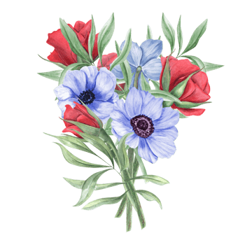 Floral bouquet in red blue colors. Roses, anemones with green eucalyptus leaves. Garden flowers. Watercolor illustration. For patriotic or wedding card design, greeting. Memorial day png