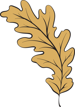 rustic leaf autumn floral png