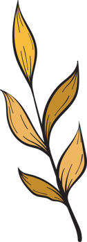 rustic leaf autumn floral png