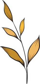 rustic leaf autumn floral png