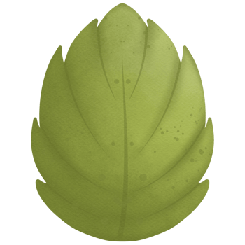 Leaf watercolor clip art so cute png