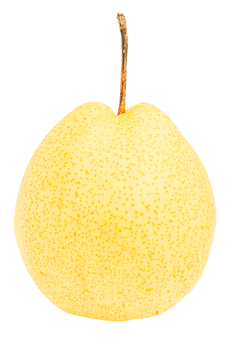 Cutout yellow asian pear png