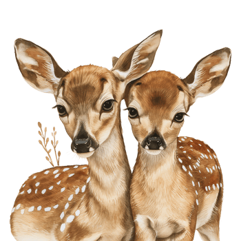 Baby Deer watercolor illustration woodland fawn isolated on transparent background png