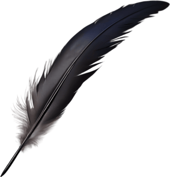 Close-up of black crow-inspired feathers. AI-Generated. png