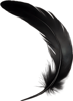 Close-up of black crow-inspired feathers. AI-Generated. png