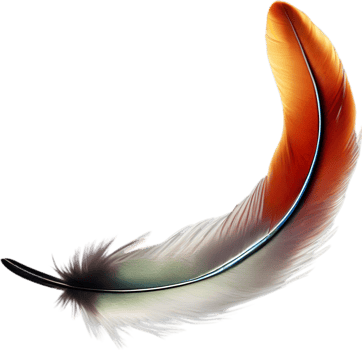 Close-up of rainbow-colored feathers inspired by the rainbow lorikeet. AI-Generated. png