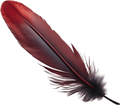 Close-up of red cardinal-inspired feathers. AI-Generated. png