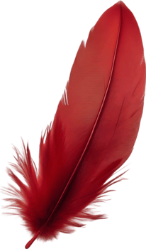Close-up of red cardinal-inspired feathers. AI-Generated. png
