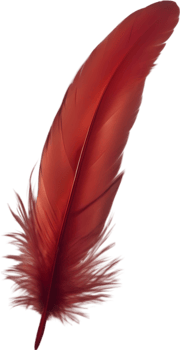 Close-up of red cardinal-inspired feathers. AI-Generated. png