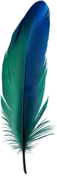 Close-up of green-blue feathers inspired by the Resplendent Quetzal bird. AI-Generated. png