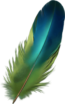Close-up of green-blue feathers inspired by the Resplendent Quetzal bird. AI-Generated. png
