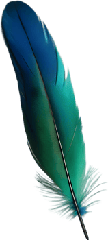 Close-up of green-blue feathers inspired by the Resplendent Quetzal bird. AI-Generated. png