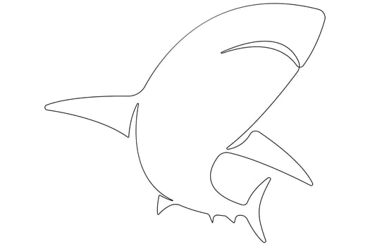 One continuous single line art drawing of shark sea fish underwater outline minimalist illustration vector