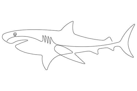 One continuous single line art drawing of shark sea fish underwater outline minimalist illustration vector