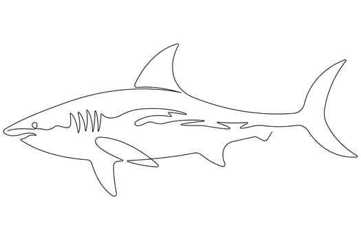 One continuous single line art drawing of shark sea fish underwater outline minimalist illustration vector