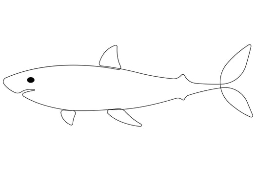 One continuous single line art drawing of shark sea fish underwater outline minimalist illustration vector