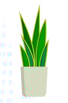 Dracaena trifasciata icon. Sansevieria trifasciata icon. Snake plant icon. vector