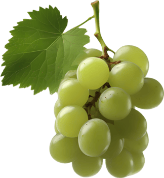 A bunch of green grapes with a green leaf attached. AI-Generated. png