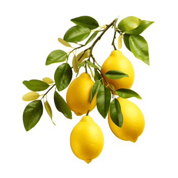 Zesty Lemon Harvest Tangy Citrus Bliss Cut Out png