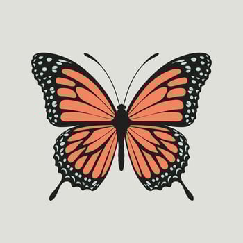 Flying butterfly . Flat illustration of flying butterfly icon isolated on white background vector