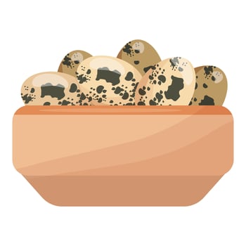 Quail eggs in terracotta bowl illustration vector