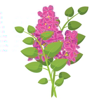 graphic of a lush pink lilac bloom with green leaves, isolated on white vector