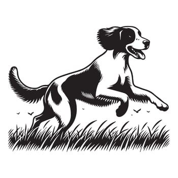 Playful Brittany Spaniel Running illustration in black and white vector
