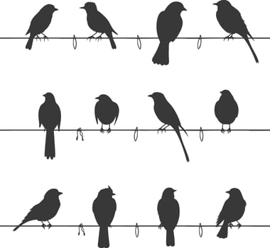 Silhouette birds on wire black color only vector