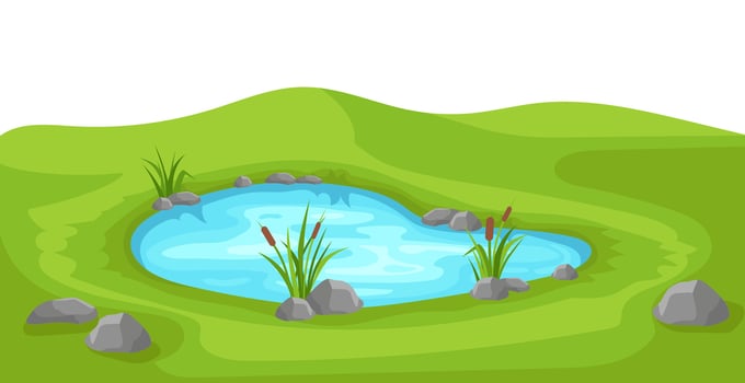Pond on green lawn with reeds vector