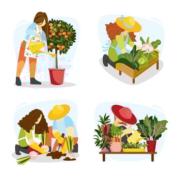 People seedling, cultivating and planting veggies. vector