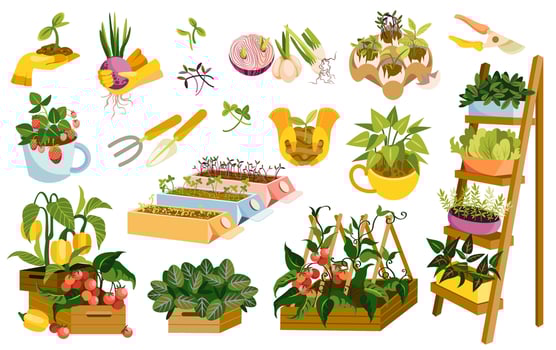 Set of garden wooden boxes with plants and veggies vector