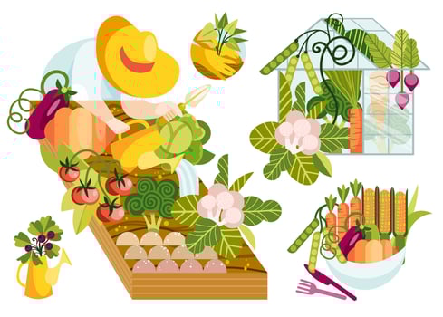 Person seedling, cultivating and planting veggies. vector