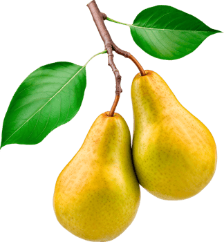 Two green apples on branch isolated on white background png