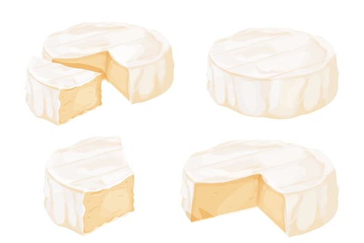 Set Camembert cheese, brie french soft creamy food isolated on white background. vector