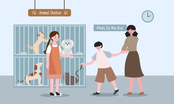 Pets adoption from animal shelter. People hold kitten and dog. Flat cartoon cats and dogs in cages. Volunteer adopted puppy. illustration vector