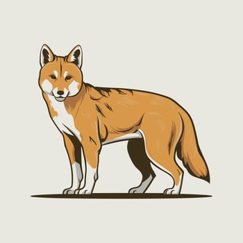 Dingo. Isolated illustration white background vector