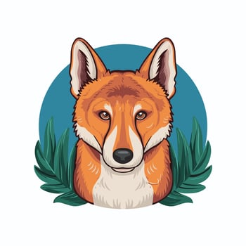 Dingo. Isolated illustration white background vector
