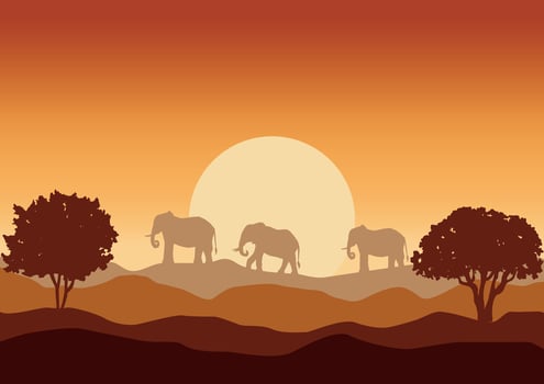 animals and wildlife in africa, nature illustration. vector