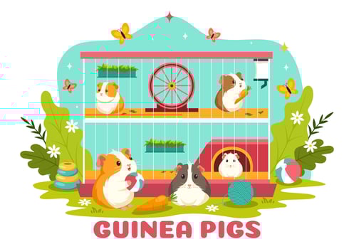 Guinea Pig Illustration Featuring Various Hamster Breeds in Green Fields in a Flat Cute kids Cartoon Style Background Design vector