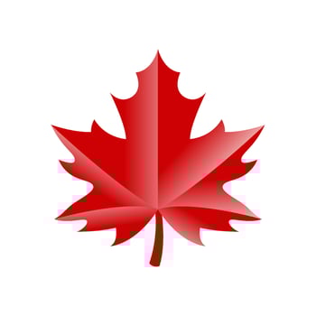 Maple leaf logo. Forest and wood symbol sign. Nature tree logo. vector