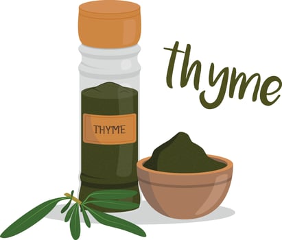 thyme illustration isolated in cartoon style. Herbs and Species Series vector
