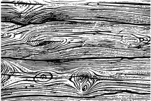 Distress dry wooden overlay texture. Template for design. Pattern for empty background. Illustration in engraved style. vector