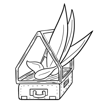 Black and white coloring illustration showing a plant in a glass pot without background png