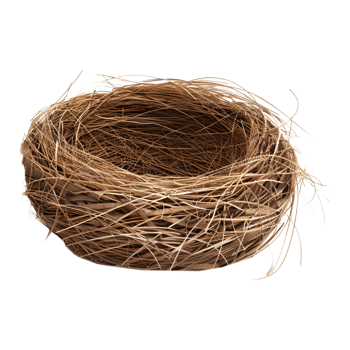 Birds Nest on Transparent Background png